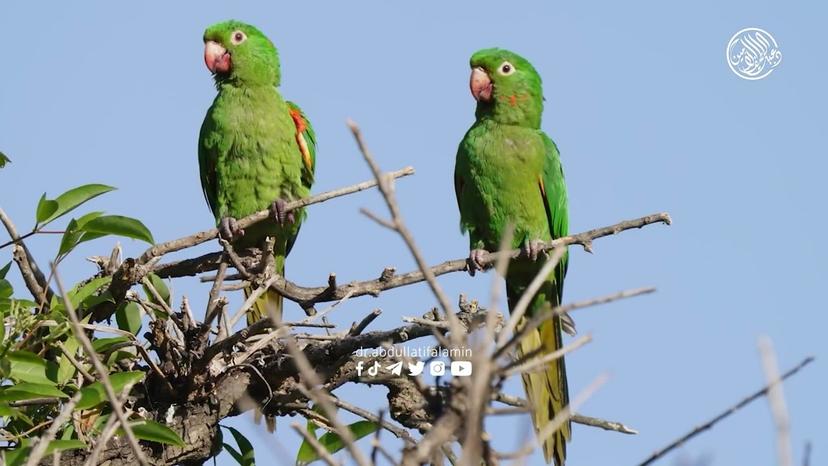 رزقی هەموومان تەنها لای خوای گەورەیە