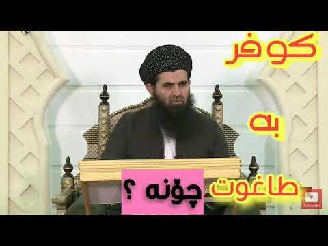 دکتۆر عبداللطیف احمد 2019